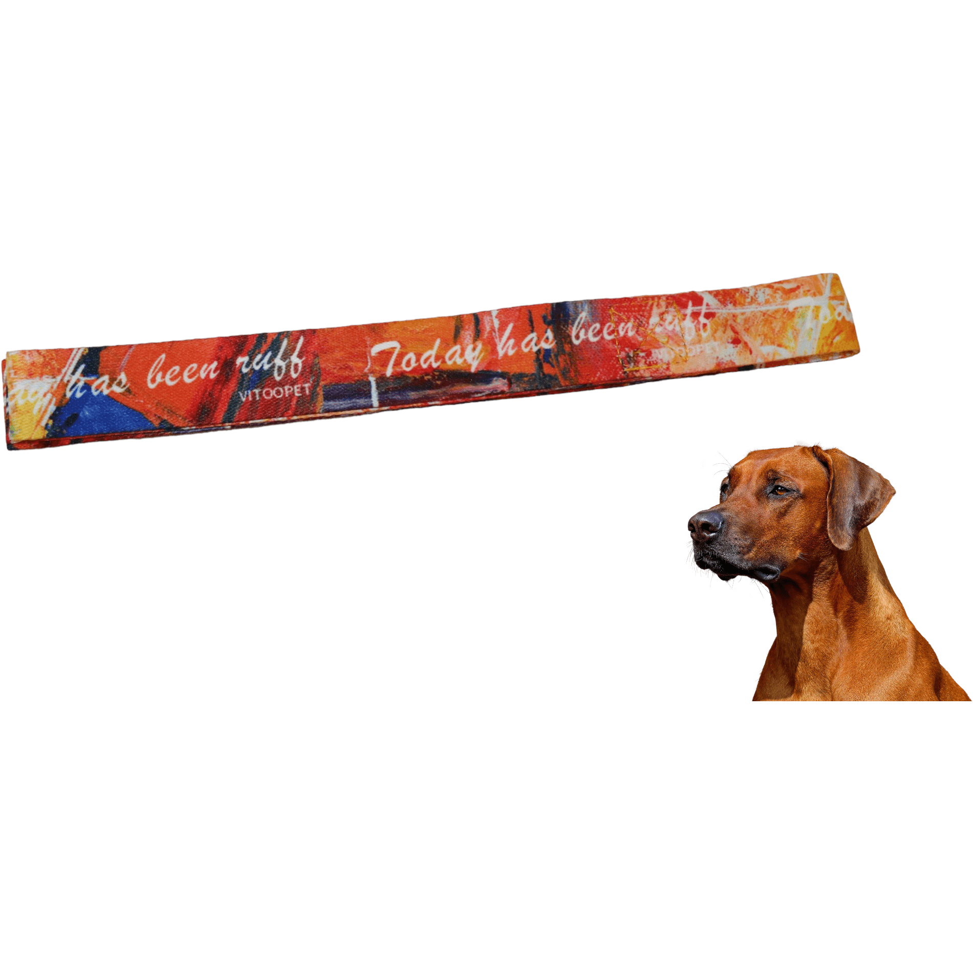 Dog Flirt Pole Toy Tug Tease Wand – BEEFYBOY